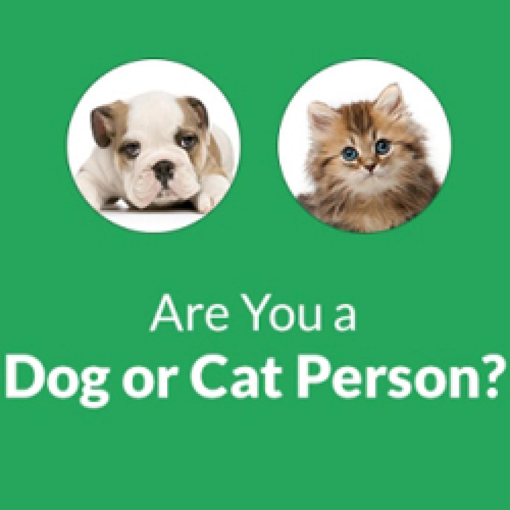 Bạn Ở Đội Chó Hay Đội Mèo?