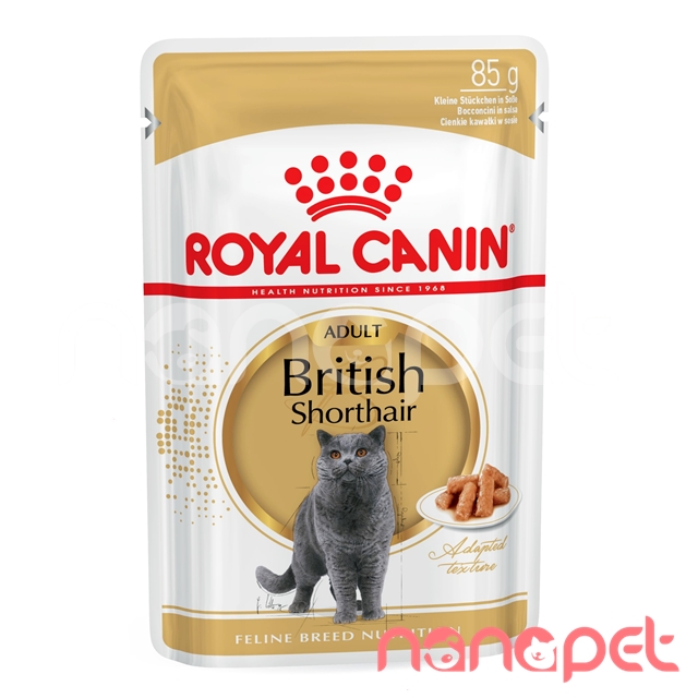 Pate Royal Canin British Shorthair Anh Lông Ngắn