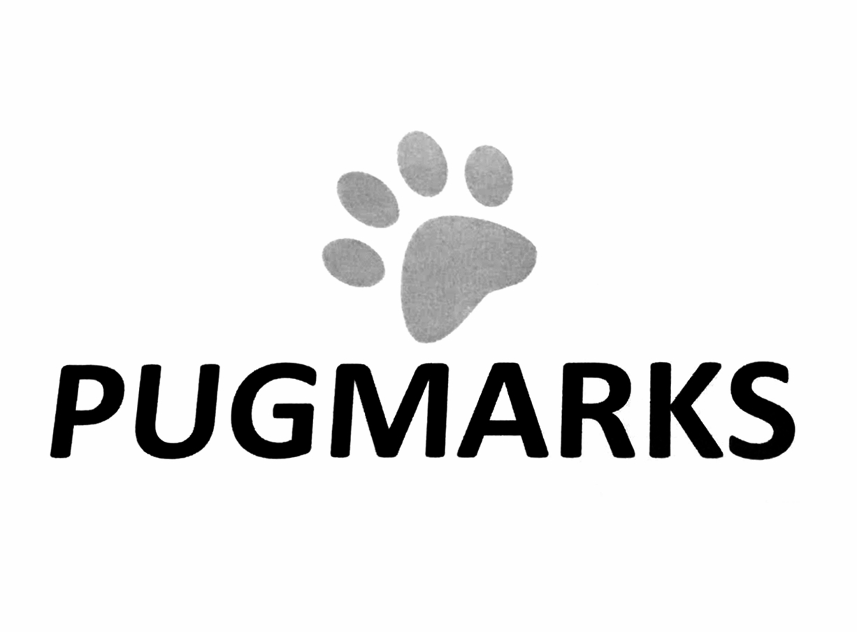 Pugmarks
