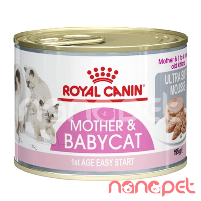 Pate Royal Canin Mother & Babycat Cho Mèo Mẹ & Con