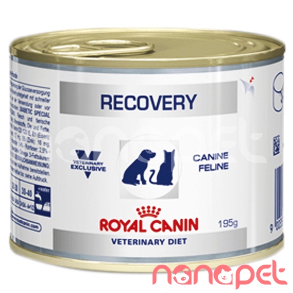 Pate Royal Canin VET Recovery Phục Hồi Bệnh Cho Chó