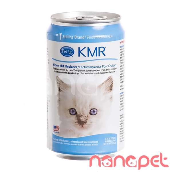 Sữa Nước KMR Thay Sữa Mẹ Cho Mèo Sơ Sinh