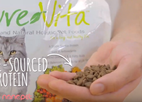Hạt Pure Vita Grain Free Cá Hồi Đậu Hà Lan Cho Mèo
