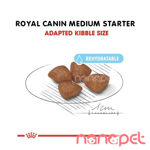 Hạt Royal Canin Medium Starter Cho Chó Bầu 11-25kg