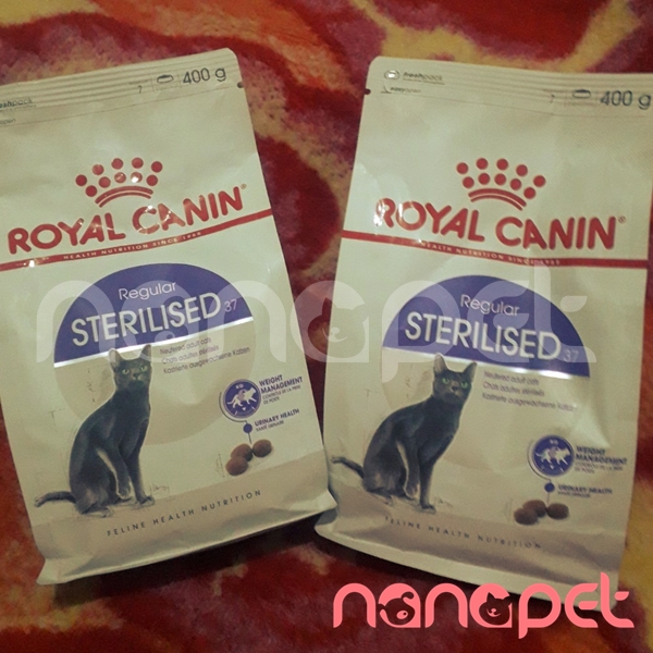 Hạt Royal Canin Sterilised Cho Mèo Triệt Sản
