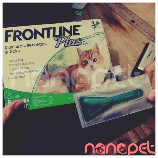 Nhỏ Gáy Frontline Plus Phòng & Trị Bọ Chét Cho Mèo
