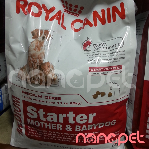 Hạt Royal Canin Medium Starter Cho Chó Bầu 11-25kg