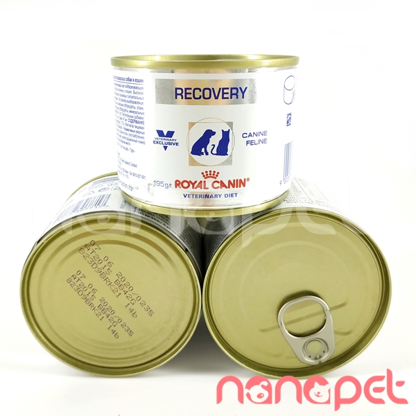 Pate Royal Canin VET Recovery Phục Hồi Bệnh Cho Chó Mèo 195g