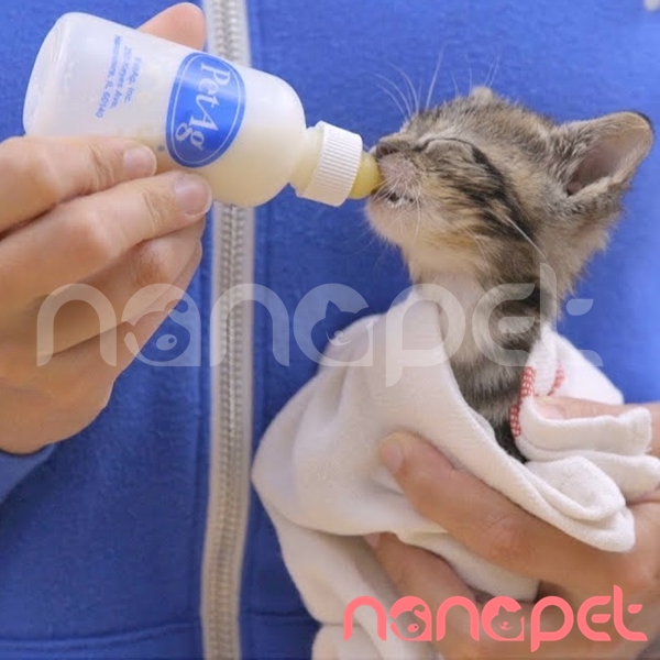 Bình Sữa Đơn PetAg Cho Chó Mèo Sơ Sinh